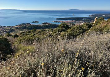 view of the town of Rab, the Frkanj peninsula and the island of Cres